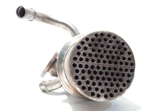 Egr VW TIGUAN ALLSPACE (BW2, BJ2) | BP14834060M69