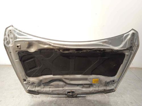 Hood MITSUBISHI GRANDIS (NA_W) 2.0 DI-D (NA8W) | BP17516140C1 