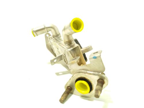 Egr RENAULT ARKANA I (LCM_, LDN_) 1.6 E-TECH 145 (LDMU) | BP27379955M69