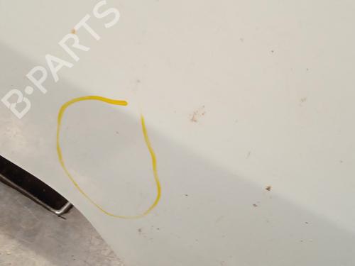 Hood RENAULT MASTER III Platform/Chassis (EV, HV, UV) 2.3 dCi 125 FWD (EV0C, EV0D, EV0J, HV0C, HV0D, HV0H,... | BP29395487C1 