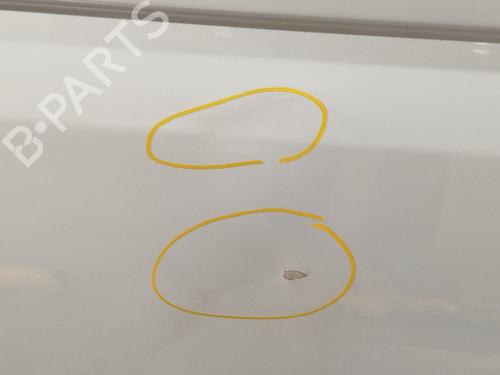 Right front door VW TRANSPORTER T5 Van (7HA, 7HH, 7EA, 7EH) 2.5 TDI | BP31060032C3 