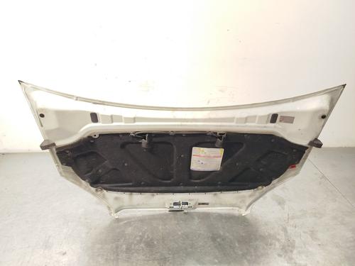 Hood FIAT DOBLO Box Body/MPV (223_) 1.9 JTD | BP21128806C1 