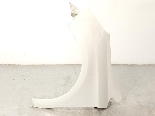 Used Left front fenders CITROËN C4 II (NC_) 1.6 HDi 90 (92 hp) 27491143