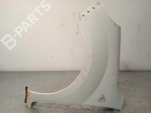 Used Left front fenders RENAULT KANGOO / GRAND KANGOO II (KW0/1_) [2008-2025]  10381876