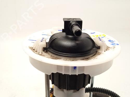 Fuel pump FORD ECOSPORT  | BP24958052M76 