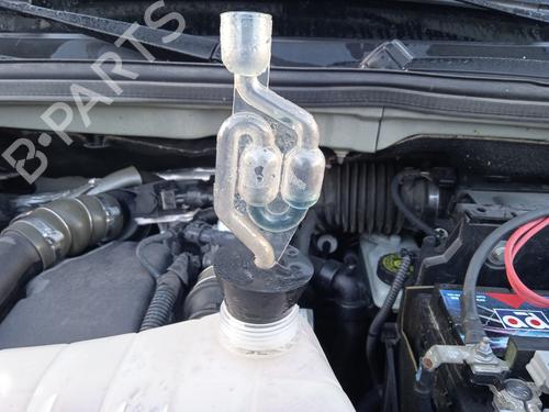 Intercooler RENAULT KANGOO / GRAND KANGOO II (KW0/1_) 1.5 dCi 90 (KW05, KW08, KW0G, KW11) | BP31585542M30