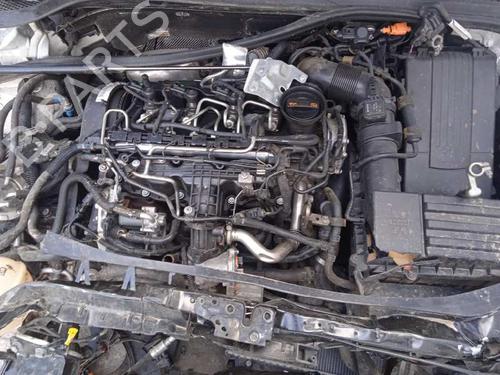 Right front door AUDI A3 (8P1) 1.6 TDI | BP10012205C3 