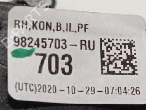 Right mirror DS DS 3 / DS 3 CROSSBACK (UR_, UC_, UJ_)  | BP13056541C27 