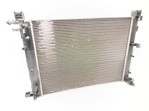 radiatore-acqua-dacia-sandero-ii-2012-34701177 main image