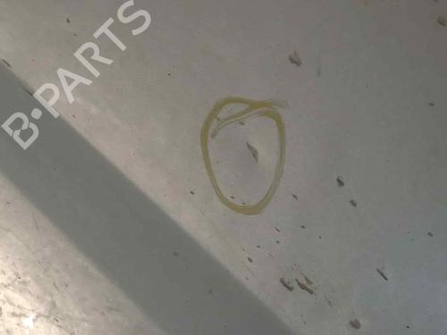 Right front door LAND ROVER RANGE ROVER SPORT I (L320) 2.7 D 4x4 | BP16714777C3 