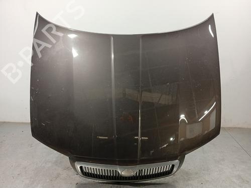 Used Hood Hood SKODA SUPERB I (3U4) 2.0 TDI (140 hp) 33539692 33539692