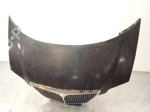 Hood LANCIA PHEDRA (179_)  | BP16153100C1 