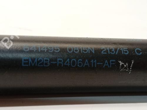 Tailgate lift support FORD S-MAX (CJ, WA6) 2.0 TDCi | BP32294908C138