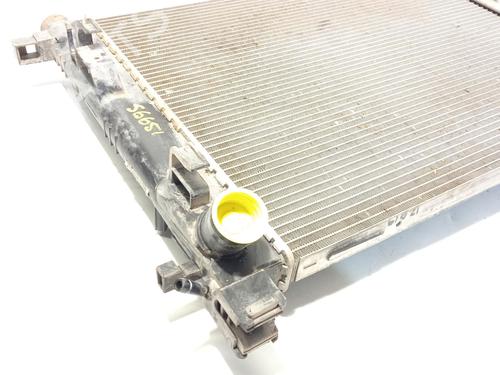 Water radiator DACIA DOKKER MPV (KE_) 1.5 dCi (KEAJ, KEAH) | BP29325789M31 
