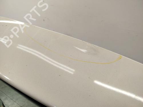 Tailgate SEAT ALTEA (5P1)  | BP21786131C6 