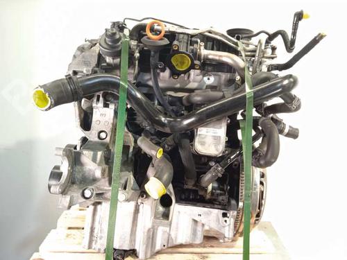 Engine SEAT EXEO (3R2) 2.0 TDI | BP7313551M1