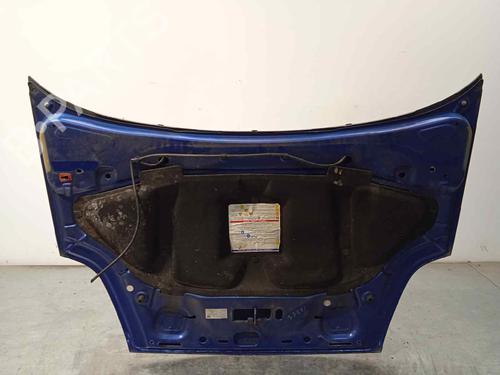 Hood FIAT PUNTO EVO (199_)  | BP17317639C1 
