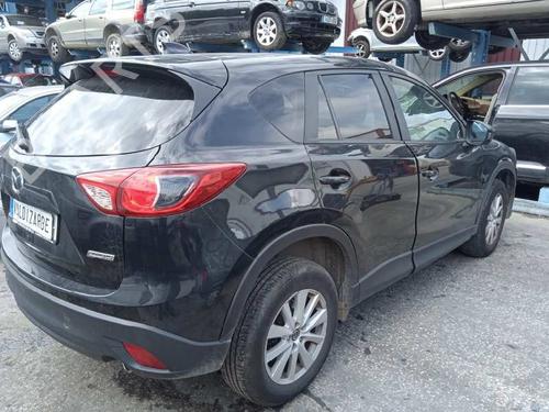 - Image 7