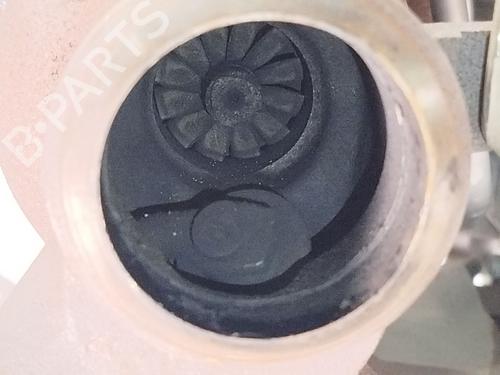 Silnik RENAULT KANGOO Express (FW0/1_) 1.5 dCi 75 (FW07, FW10, FW04) | BP30834085M1