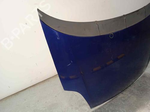 Hood FIAT PUNTO EVO (199_)  | BP17317639C1 