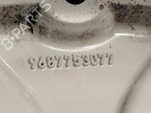 Fælk CITROËN C3 II (SC_) 1.6 BlueHDi 100 | BP24315639C45