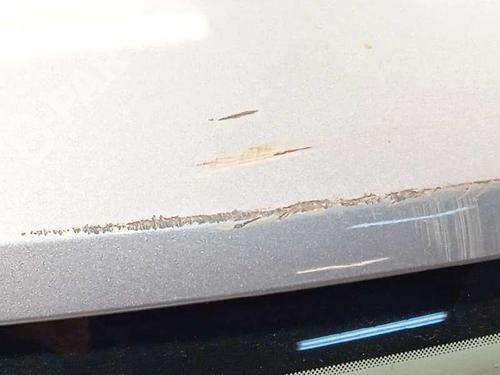 Tailgate PEUGEOT 508 I (8D_)  | BP11987270C6