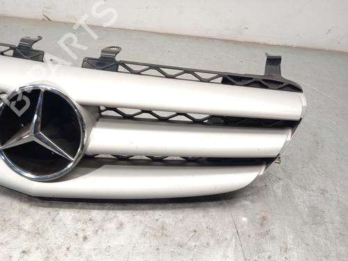 Grille MERCEDES-BENZ R-CLASS (W251, V251) R 280 CDI 4-matic (251.020) | BP30173731C40