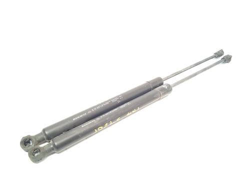 Used Tailgate lift support DACIA SANDERO II 1.0 SCe 75 (B8JC, B8JD, B8NC) (73 hp) 19522955