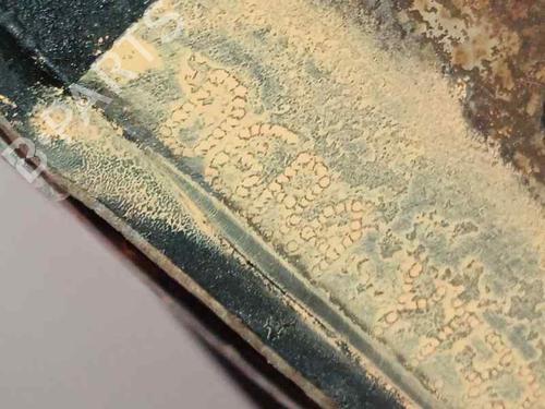 Engine FORD TRANSIT Van (FA_ _)  | BP17474723M1 