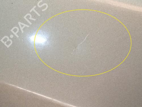 Left rear door DACIA SANDERO 1.4 (BS0C, BS0A, BS0G, BS1F, BS0E) | BP20656572C4 
