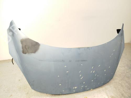 Hood RENAULT SCÉNIC III (JZ0/1_)  | BP27275651C1