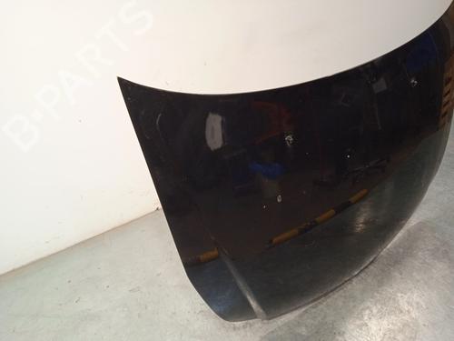 Hood SUZUKI SX4 (EY, GY) 1.9 DDiS 4x4 (RW419D) | BP29481445C1 