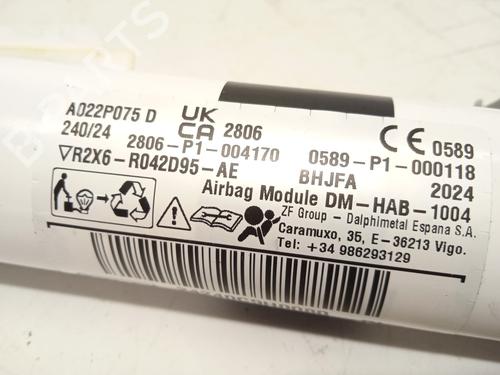 Left curtain airbag FORD TOURNEO CUSTOM V362 Bus (F3) 1.0 EcoBoost PHEV | BP30095876C11