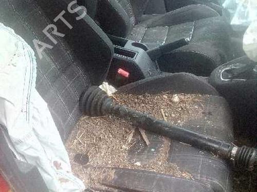- Image 7