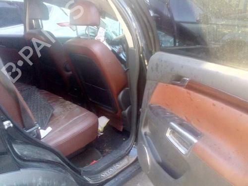 - Image 7
