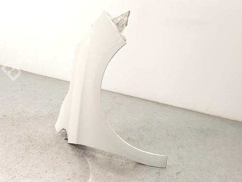 Right front fenders CITROËN C4 II (NC_) 1.6 HDi 90 | BP27491823C42 