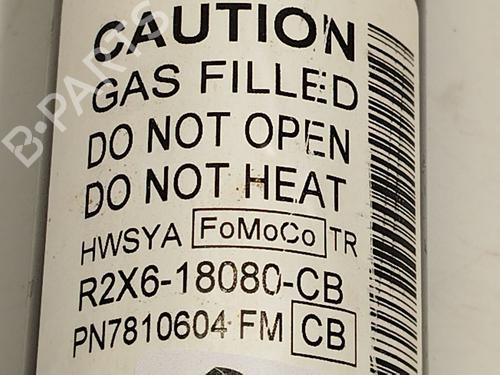 Left rear shock absorber FORD TOURNEO CUSTOM V362 Bus (F3) 1.0 EcoBoost PHEV | BP32316828M18