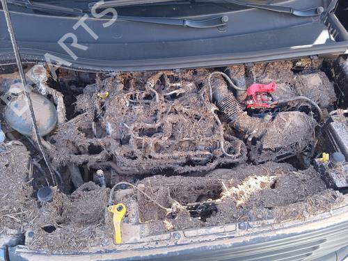 Electronic module FORD TOURNEO CUSTOM V362 Bus (F3) 1.0 EcoBoost PHEV | BP33655259M83  - Image 10