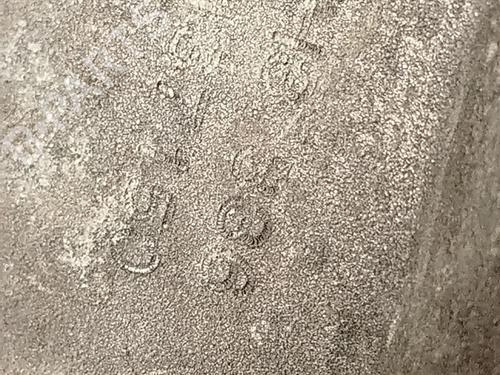 Gearbox DACIA SANDERO II TCe 90 (B8M1, B8MA, B8AC) | BP32187250M3 