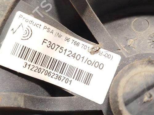 Left rear shock absorber CITROËN C4 Grand Picasso I (UA_) 1.6 HDi 110 | BP29944448M18 