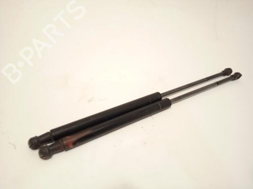 Tailgate lift support FORD KA (RU8)  | BP25132527C138