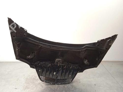 Hood LANCIA PHEDRA (179_)  | BP16153100C1 