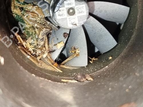 Engine SEAT ATECA (KH7, KHP) 1.5 TSI | BP25719387M1 