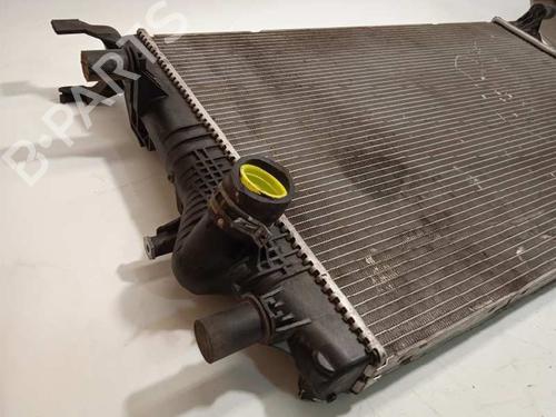Køler RENAULT GRAND SCÉNIC III (JZ0/1_) 1.6 dCi (JZ00, JZ12) | BP8254003M31 