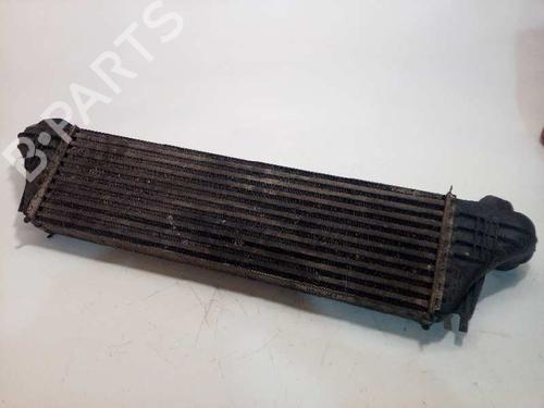 Intercooler BMW X5 (E53) 3.0 d | BP5105189M30 - Image 2