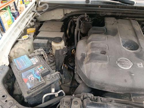 Grill NISSAN NAVARA NP300 (D40) 2.5 dCi 4WD | BP39407842C40  - Image 21