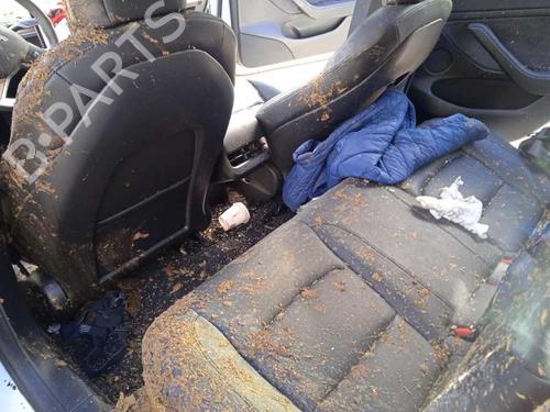 Other TESLA MODEL 3 (5YJ3)  | BP17570907O1 