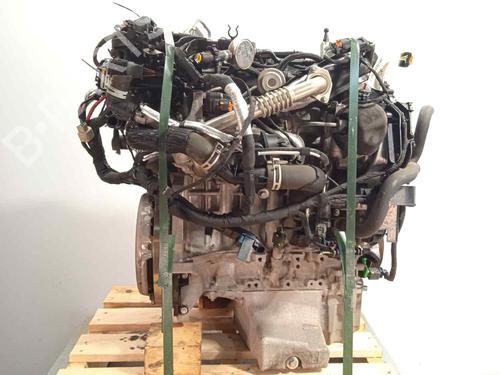 Used Engine FORD FIESTA VII (HJ, HF) [2017-2026]  17675792