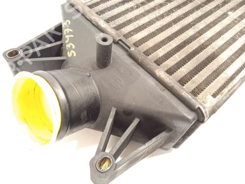 Intercooler IVECO DAILY IV Van | BP18082174M30