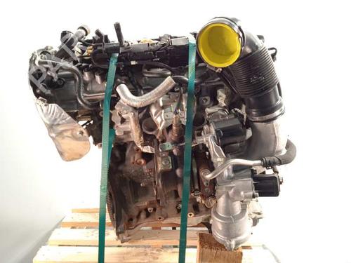 Motor AUDI A5 (F53, F5P) 2.0 TFSI | BP26207977M1 